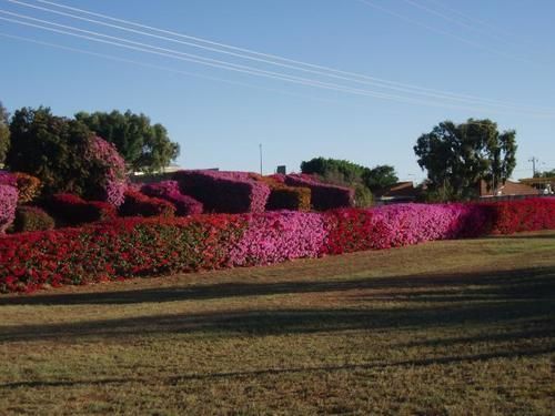 Capricorn Holiday Park Kingsford 外观 照片